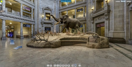 Photograph taken inside the Smithsonian National Museum of Natural History